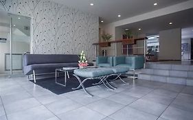 Palmetto Hotel Business San Borja
